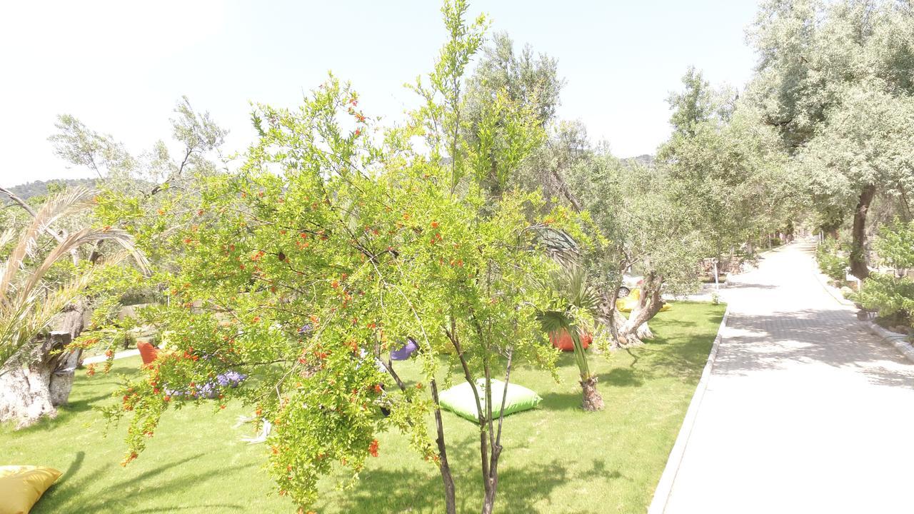 Kayalar Blue Beach Hotel Sazlı Extérieur photo