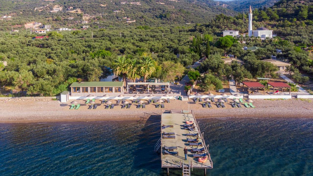 Kayalar Blue Beach Hotel Sazlı Extérieur photo