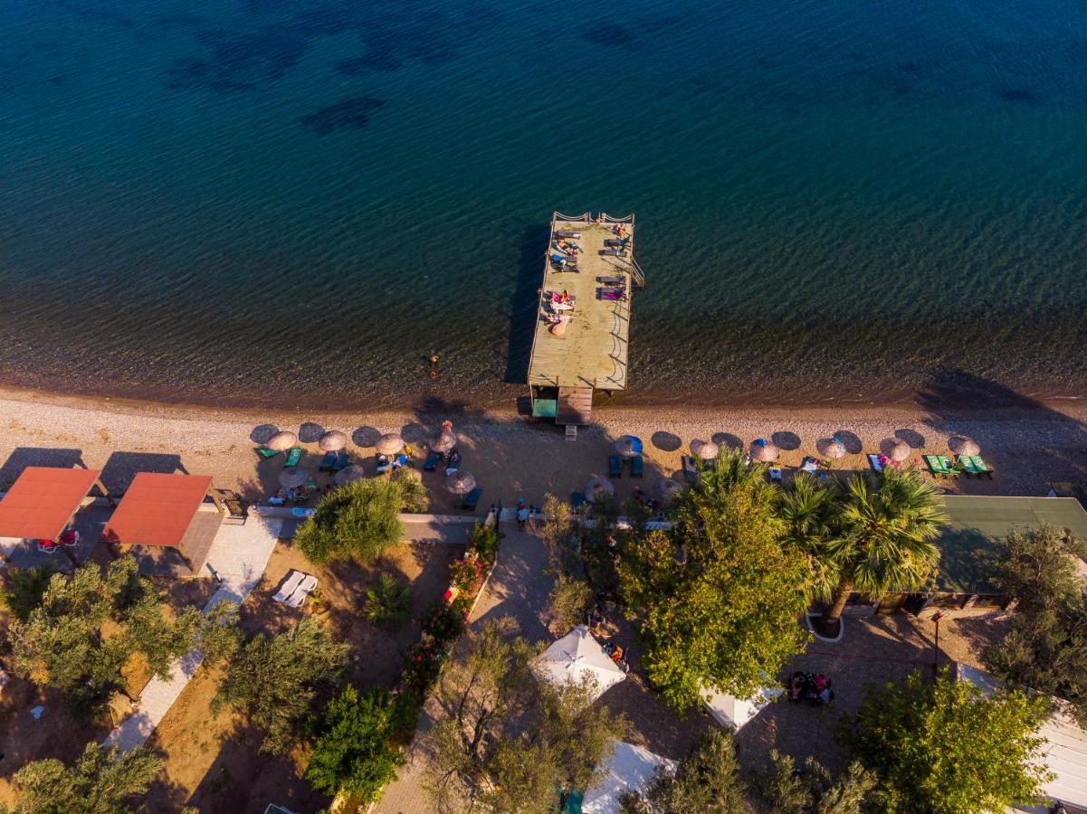 Kayalar Blue Beach Hotel Sazlı Extérieur photo